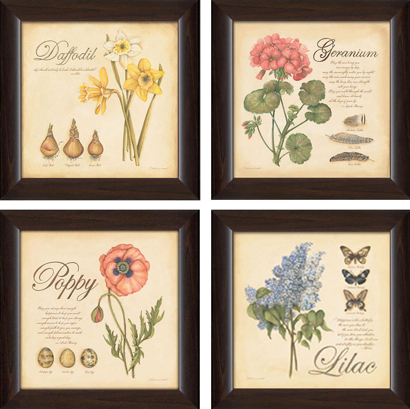 Daffodil, Geranium, Poppy & Lilac